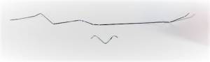 Classic Tube - 1982-86 Chevrolet/GMC K-Series 3/4 and 1 Ton Pickup - Fuel Feed Line Set (SS)