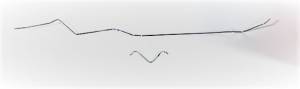 1982-86 Chevrolet/GMC K-Series 3/4 and 1 Ton Pickup Fuel Feed Line Set